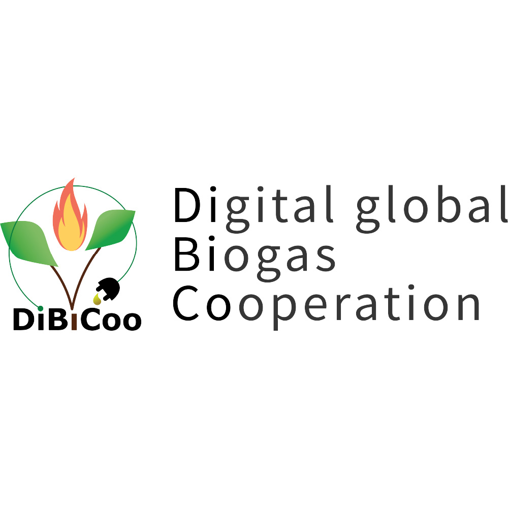 A year in DiBiCoo Project